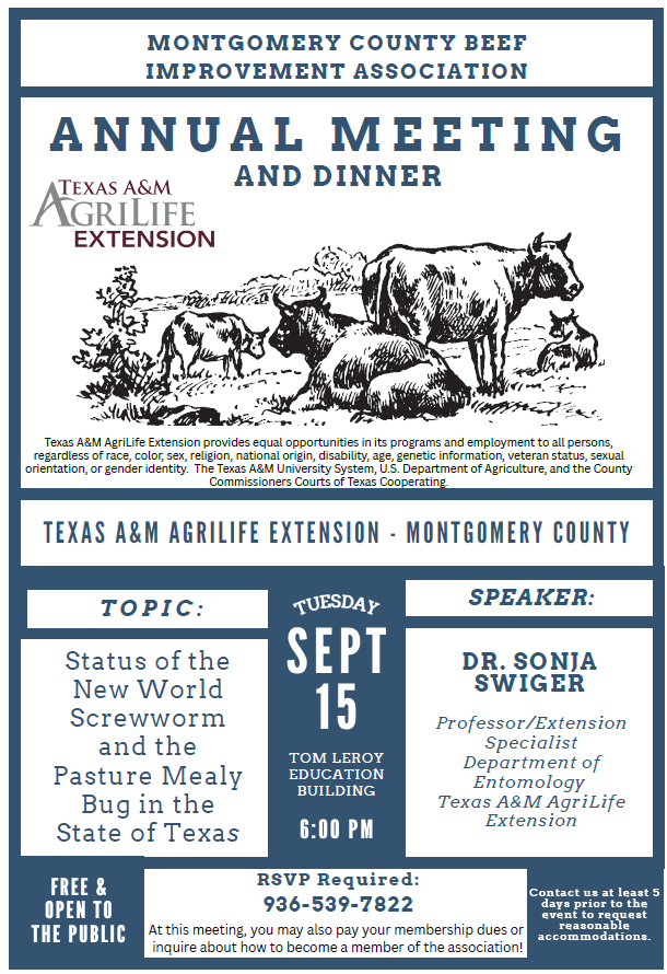 flyer for beef program